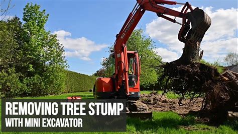 mini excavator taking down a tree|mini tree removal machine.